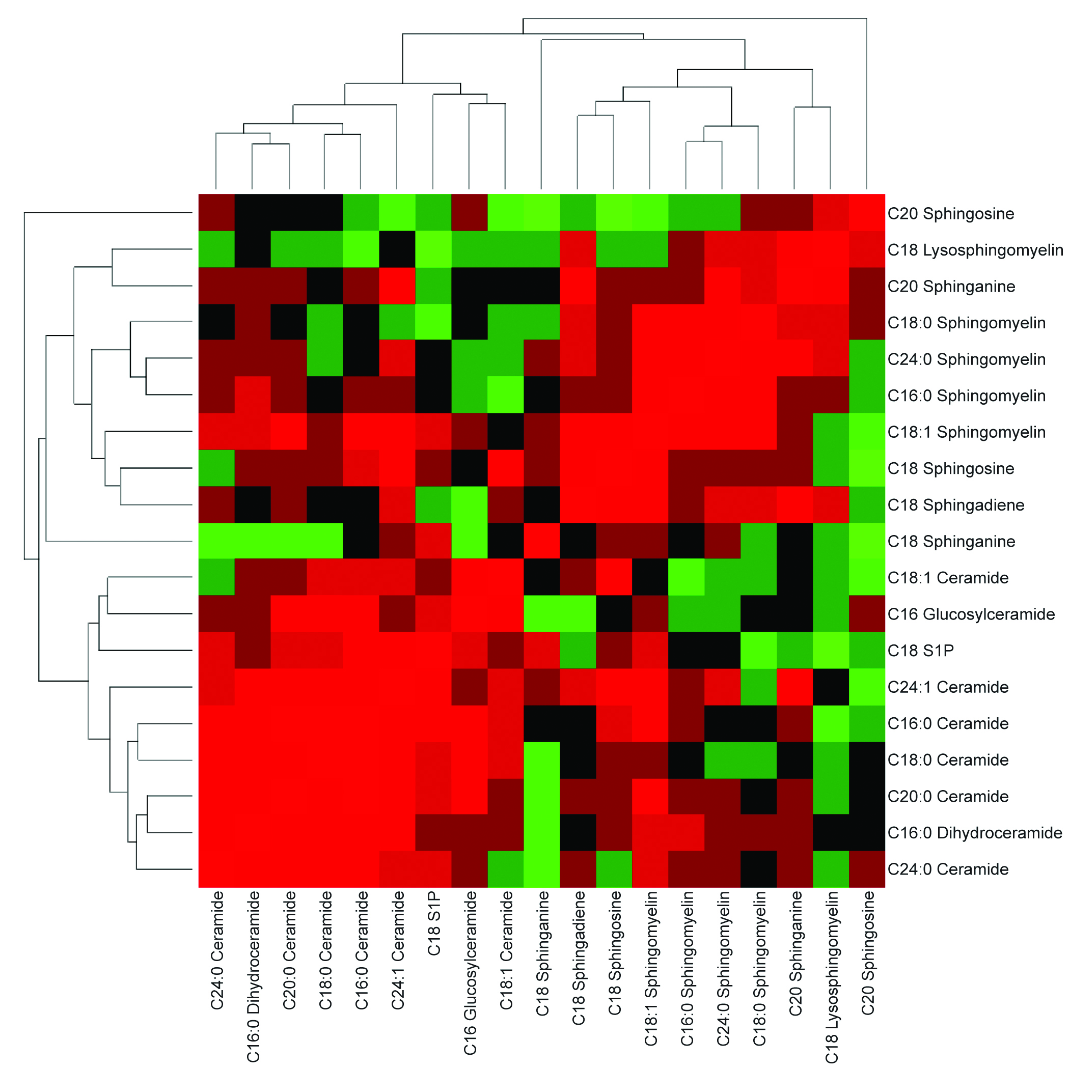 Clustered heatmap showing patterns of sphingolipid abundance and relationships among lipid species across samples.