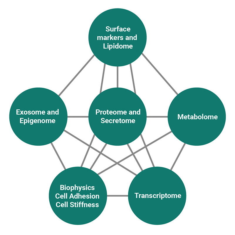 Diagram showing integration of multiple cell analyses, including surface markers, proteomics, metabolomics, transcriptomics, exosomes, epigenomics, and biophysical properties.