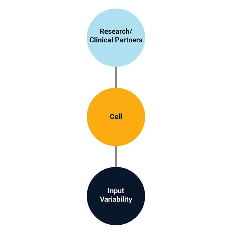 Diagram showing research and clinical partners providing cells with varying inputs for analysis.
