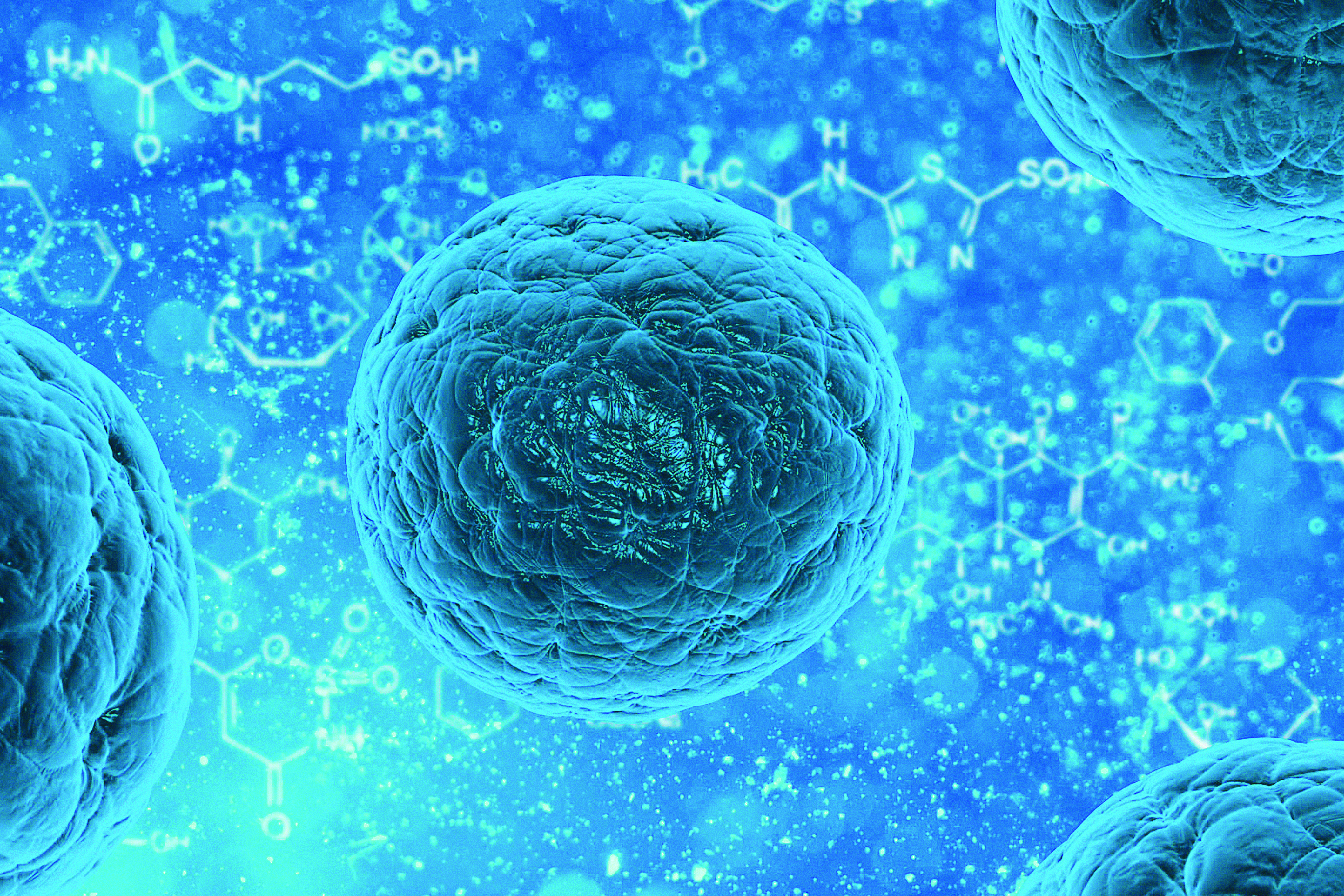 Illustration of cells with molecular structures representing cell biology and regenerative medicine research.