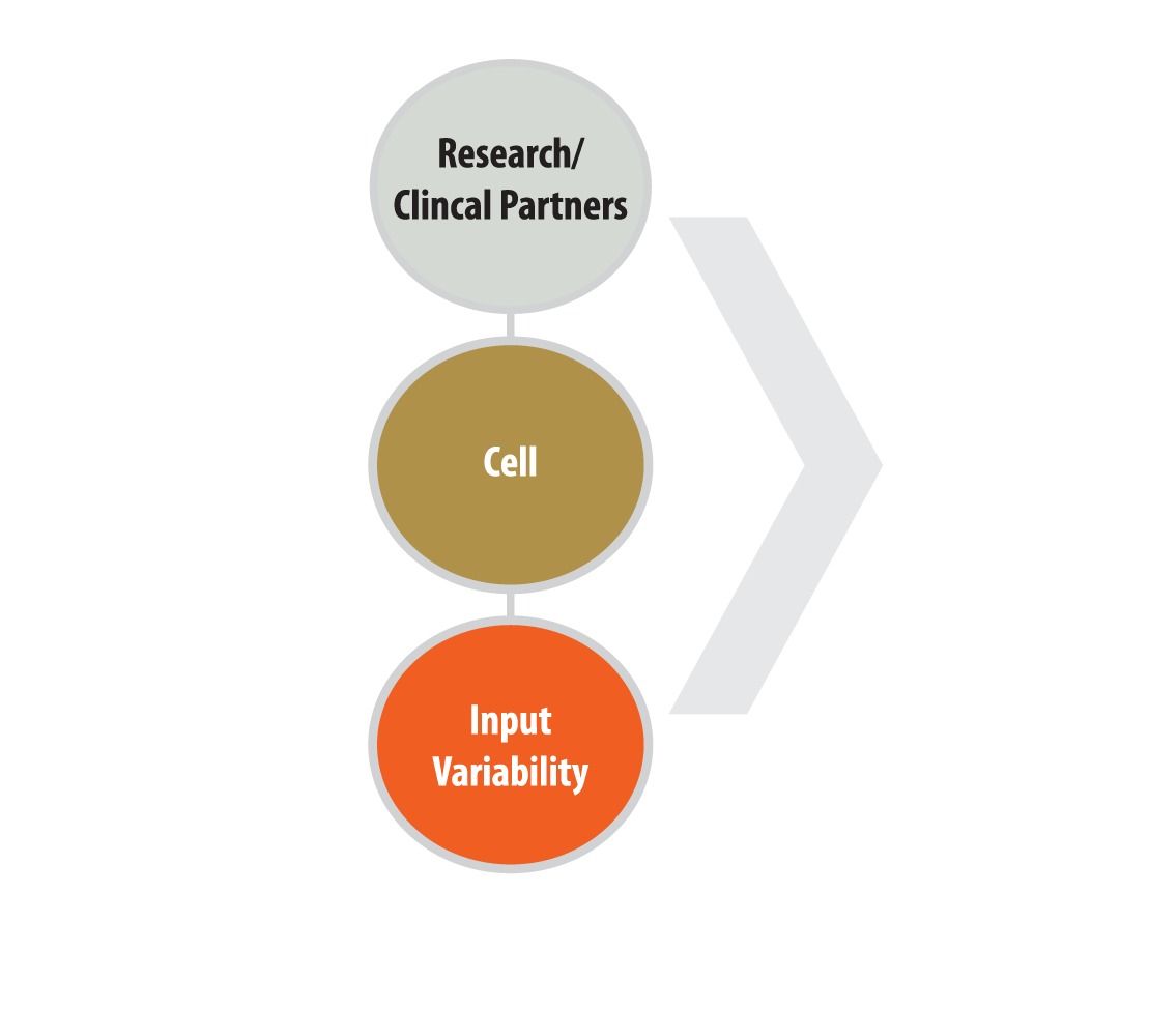 Diagram showing research and clinical partners providing cells with varying inputs for analysis.