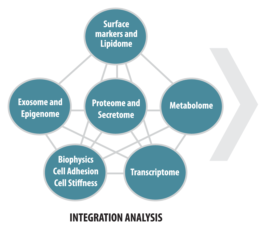 Diagram showing integration of multiple cell analyses, including surface markers, proteomics, metabolomics, transcriptomics, exosomes, epigenomics, and biophysical properties.