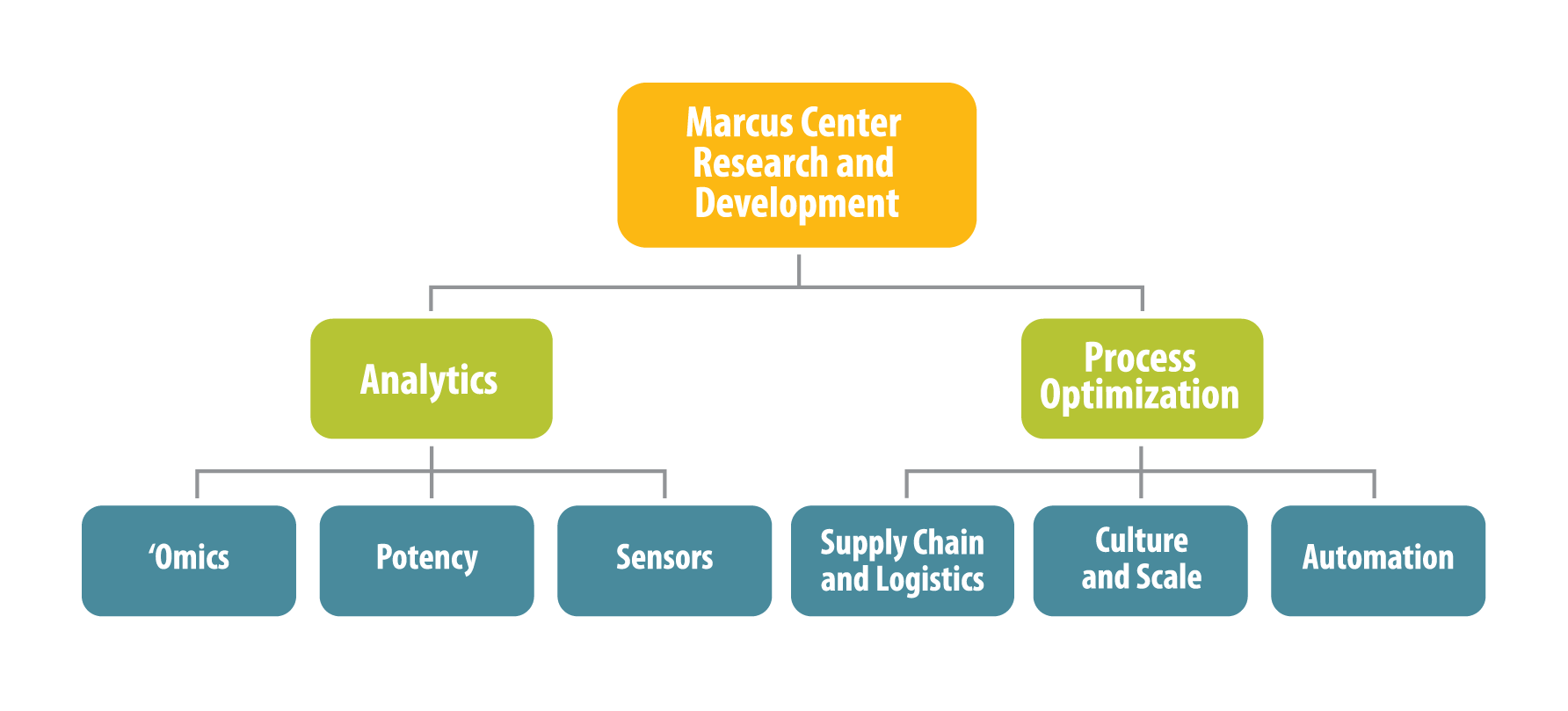 Organizational diagram showing the Marcus Center's research and development program organized into two focus areas: analytics and process optimization, with supporting research in omics, potency, sensors, supply chain and logistics, culture and scale, and automation.