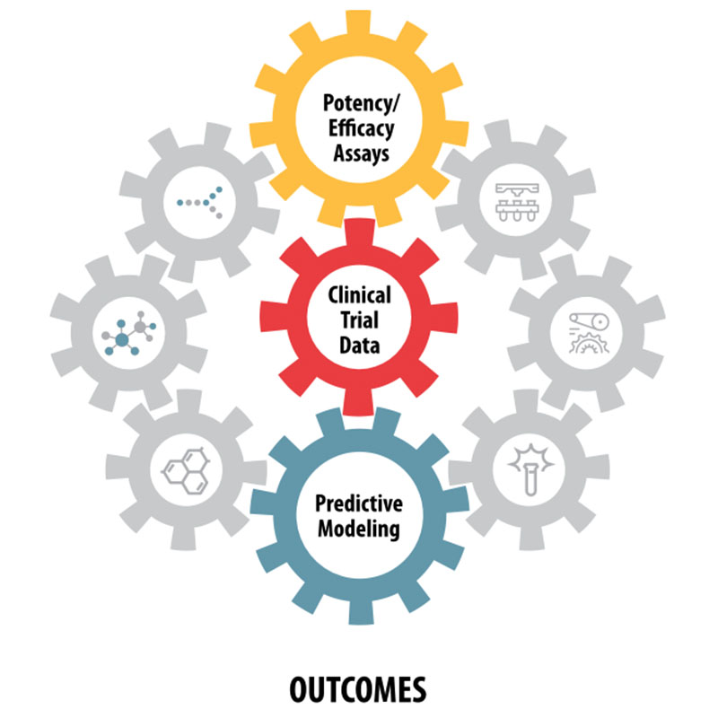 Diagram showing integrated analyses informing predictive modeling, potency and efficacy assays, and clinical trial data to improve cell therapy outcomes.