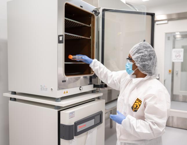 A researcher in the Marcus Center of Excellence for Cell Biomanufacturing removes cultured cells from an incubator for further characterization and testing.